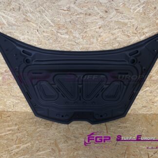 FGP front hood bonnet for Lamborghini Huracan FGP 4T0823021C