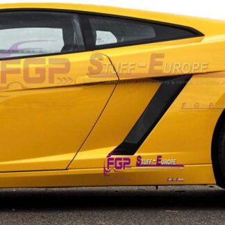 FGP real carbon quarter panel carbon air intake set for Lamborghini Gallardo