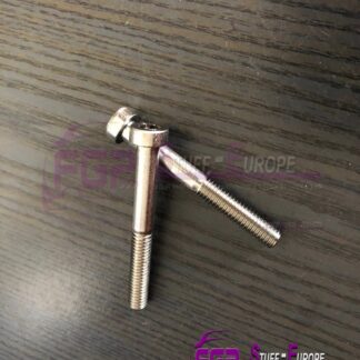 OEM original Lamborghini Gallardo e-gear cover screws N91078401